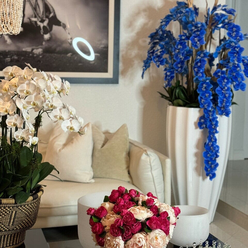 Alocasia "Red Prince" in XL Ben Plant Pot – Glossy White The New Garden