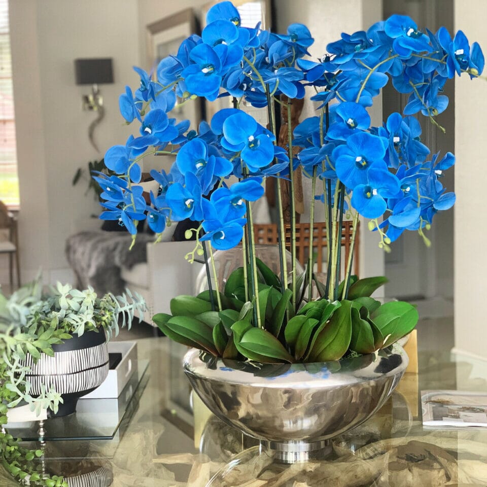 Avenue Bowl with Blue Phalaenopsis Orchids The New Garden