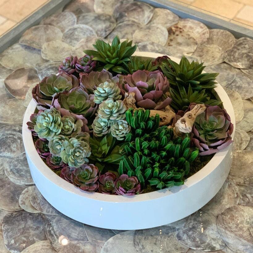 Max bowl with assorted artificial succulents The New Garden