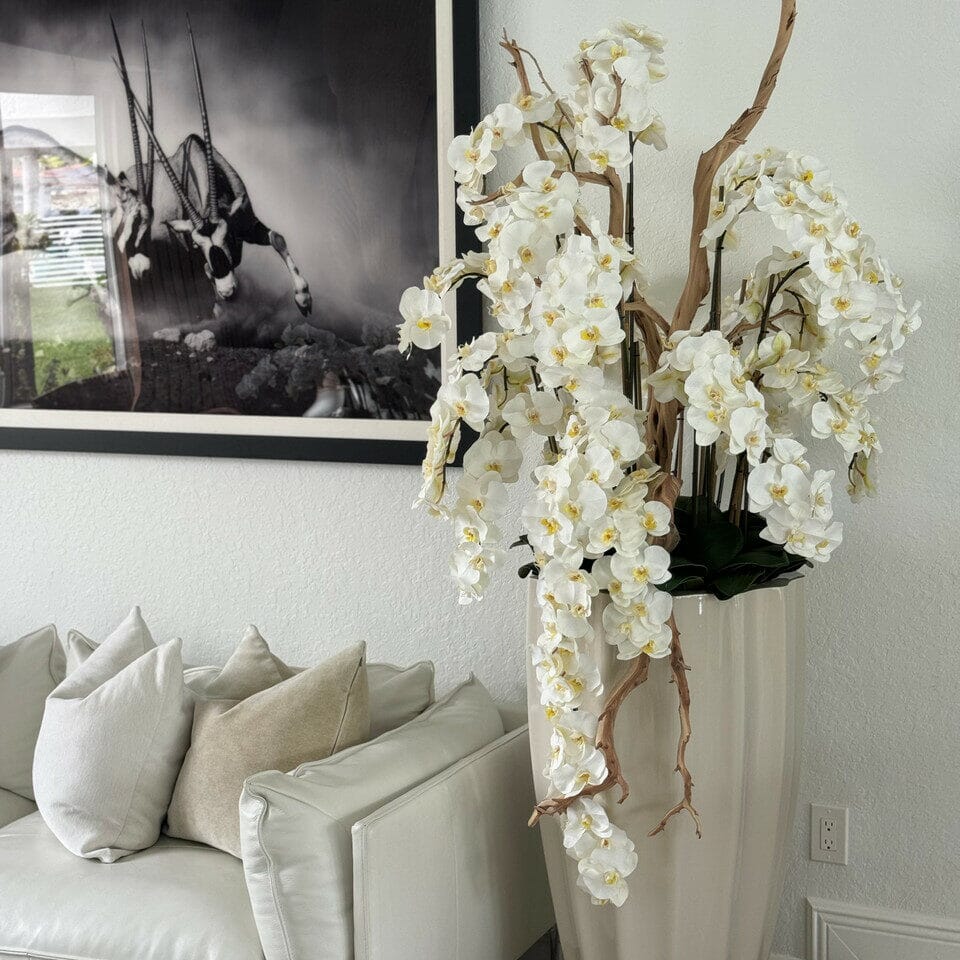 San Jose Vase in sandy Beige with white orchids in waterfall design The New Garden