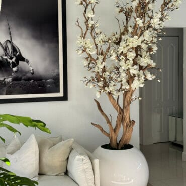 White Magnolia Tree in Glossy White Globe Pot, 76 cm The New Garden