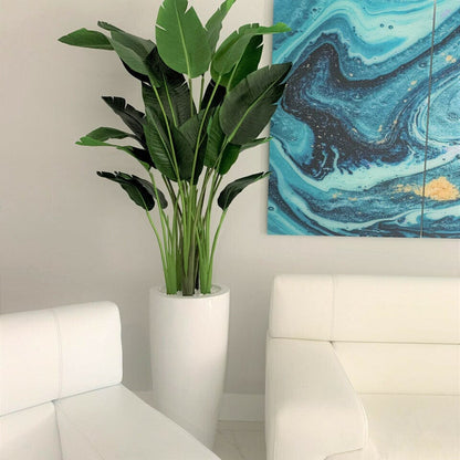2.1 m Bird of Paradise Plant with Dax L Pot The New Garden 