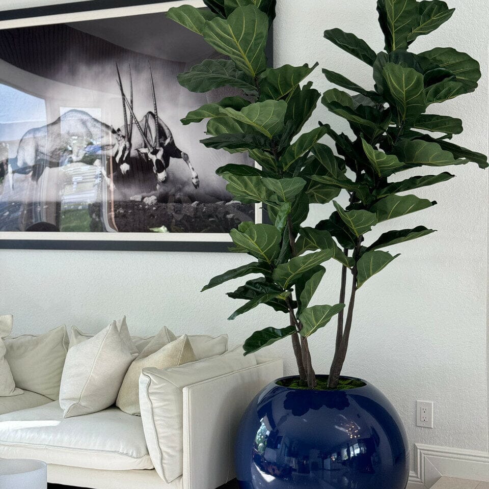 30″ Blue Globe Vase with Fiddle Leaf Fig The New Garden 