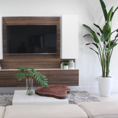 9-Foot Bird of Paradise with Shiny White Pot The New Garden 