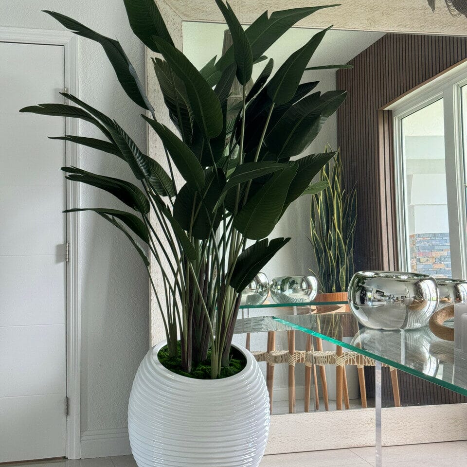 Bird of Paradise Plant in White Spiral Vase The New Garden 