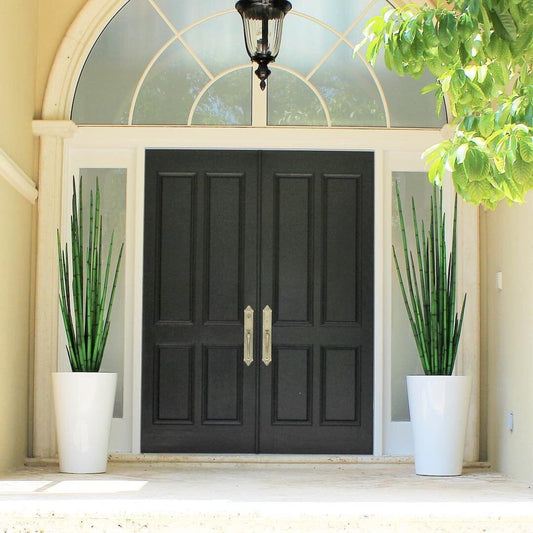 Cobra Grass (63 ″) with Belle M Planter The New Garden 