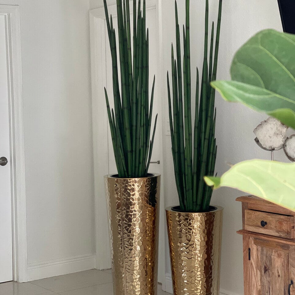 Conical Vase made of Gold-Colored Stainless Steel with Large Snake Grass The New Garden 