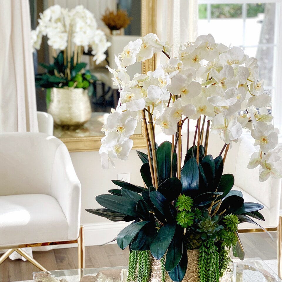 Delaney Gold Vase with Multiple Phalaenopsis Orchid Stems and Succulents The New Garden 
