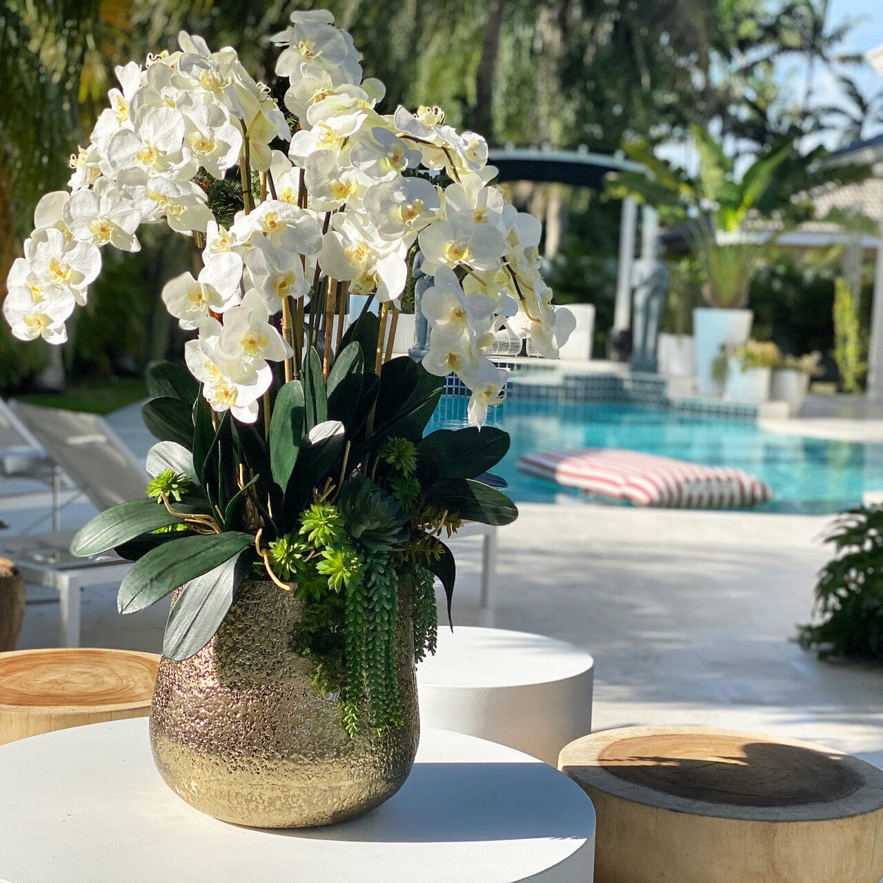 Delaney Gold Vase with Multiple Phalaenopsis Orchid Stems and Succulents The New Garden 