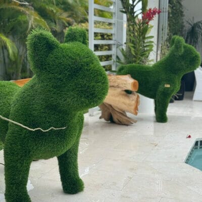 French Bulldog Topiary The New Garden 