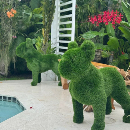 French Bulldog Topiary The New Garden 