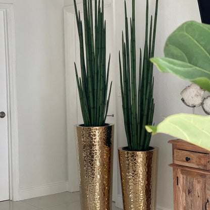 Gold Stainless Steel Cone Vase with Large Snake Grass Plant The New Garden 