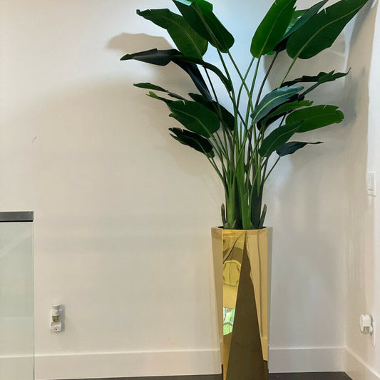 Golden Prism Planter with Bird of Paradise Plant (2.1 m) The New Garden 