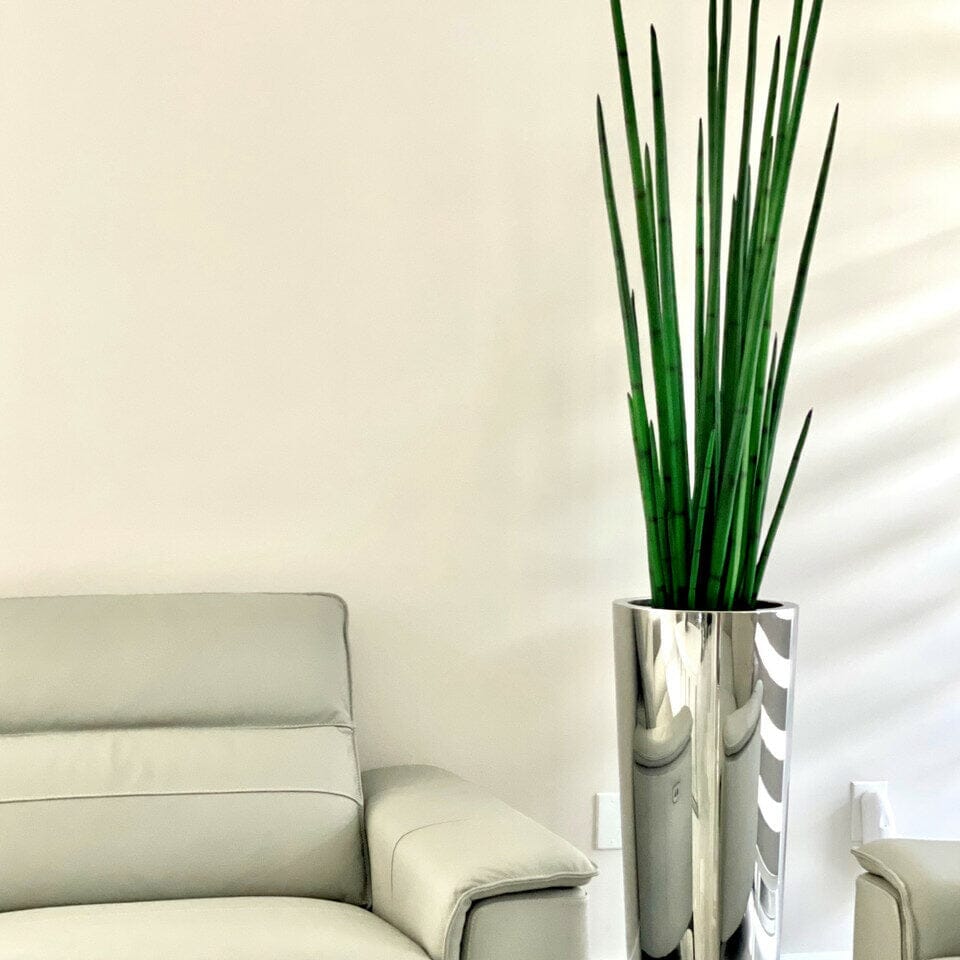 Large Polished Stainless Steel Cone Vase with Large Snake Grass Plant The New Garden 