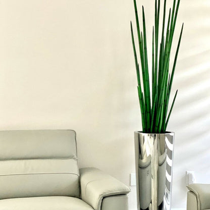 Large Polished Stainless Steel Cone Vase with Large Snake Grass Plant The New Garden 