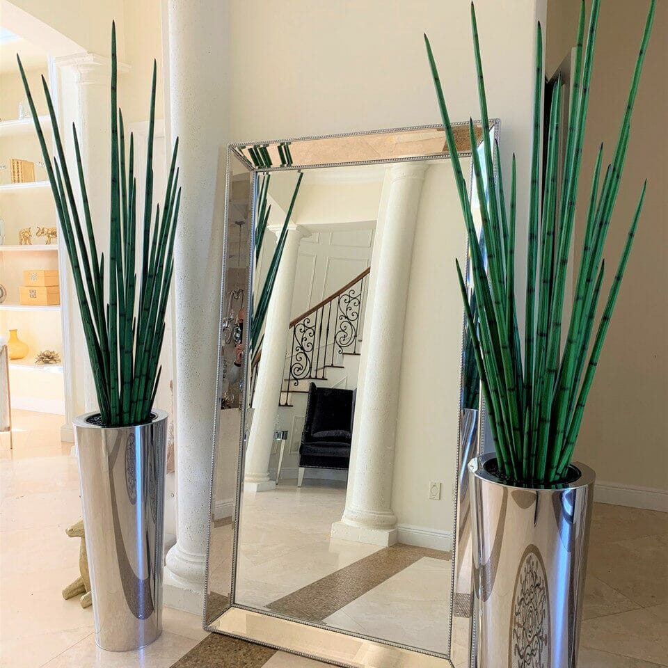 Large, Polished Stainless Steel Pot with Large Snake Grass Plant The New Garden 