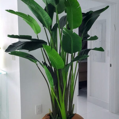 Large Teak Root Vase with Large Bird of Paradise The New Garden 
