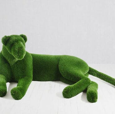 Lioness Topiary The New Garden 