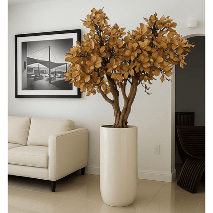 Magnolia Tree in Beige in Glossy White Pot – New Arrival The New Garden 