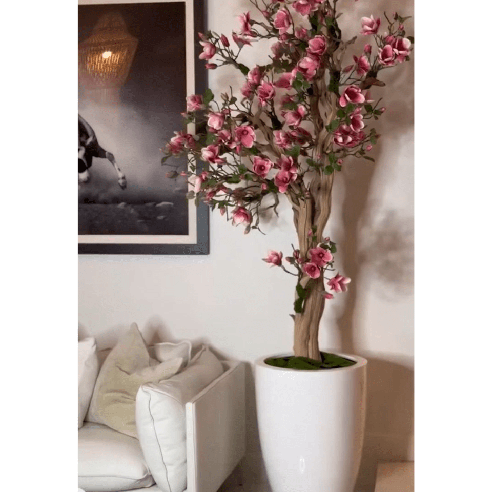Pink Magnolia Tree in St. Tropez Pot in Radiant White – New Release The New Garden 