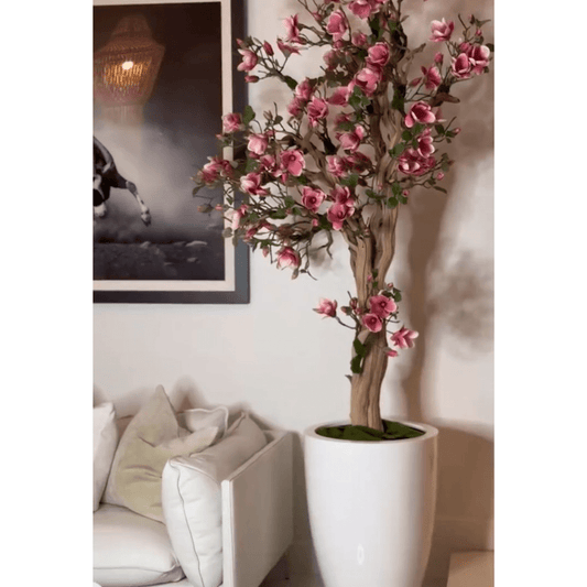 Pink Magnolia Tree in St. Tropez Pot in Radiant White – New Release The New Garden 