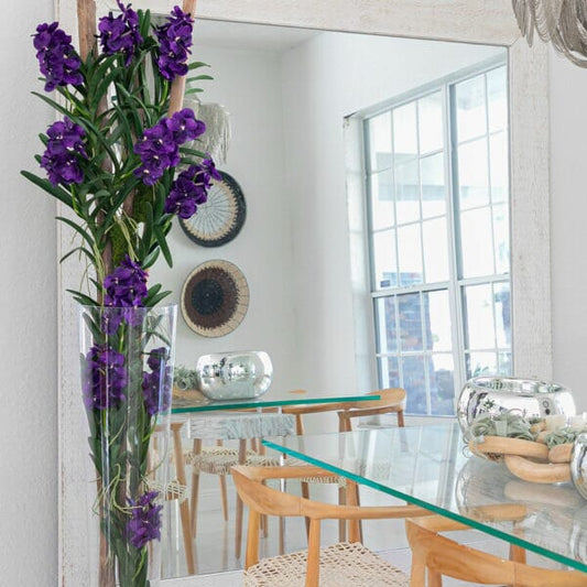 Purple Vanda Orchids and Driftwood Inside a Conical Glass Cylinder The New Garden 
