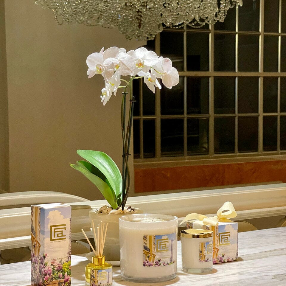 Room Fragrance Parisian Rendezvous with Scent Sticks The New Garden 