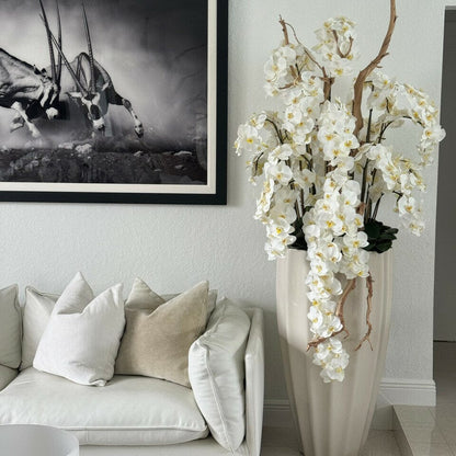 San Jose Beige Sand Vase with White Orchids in Cascade The New Garden 