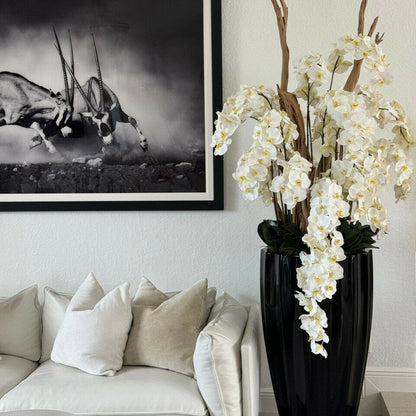 San Jose Vase in glossy black with hanging yellow orchids The New Garden 