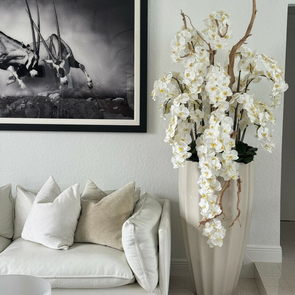 San Jose Vase in sandy Beige with white orchids in waterfall design The New Garden 