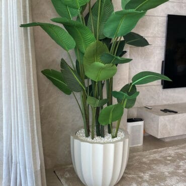 Santa Barbara Planter Pot in Matte Beige with Bird of Paradise Plant The New Garden 