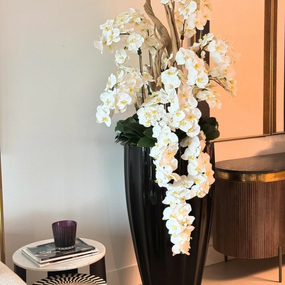 Shiny Black San Jose Vase with Cascading White Orchids The New Garden 