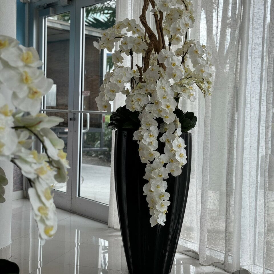 Shiny Black San Jose Vase with Cascading White Orchids The New Garden 