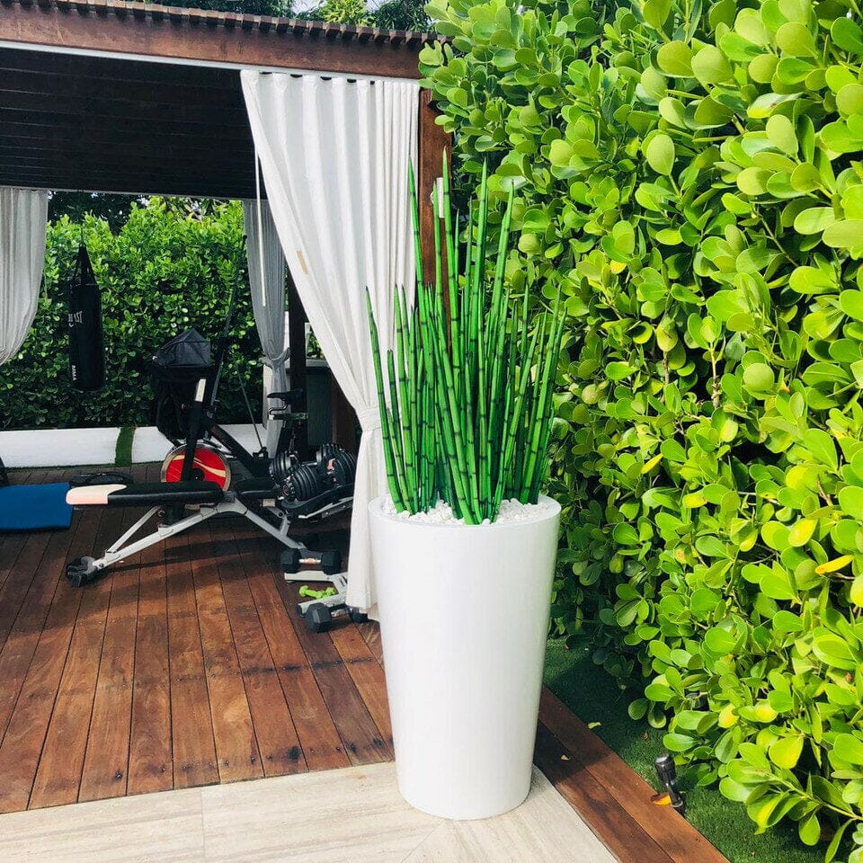 Snake Grass (1.63 m) with Belle L Planter The New Garden 