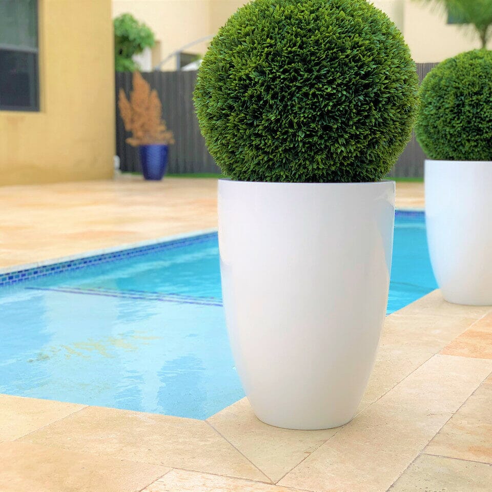 Topiary in Ben Planter – 51 cm Fiberglass The New Garden 
