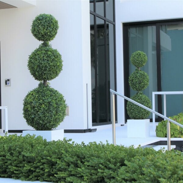 Triple Ball Topiary with Medium Block Fiberglass Planter The New Garden 