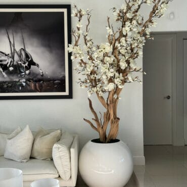 White Magnolia Tree in Glossy White Globe Pot, 76 cm The New Garden 