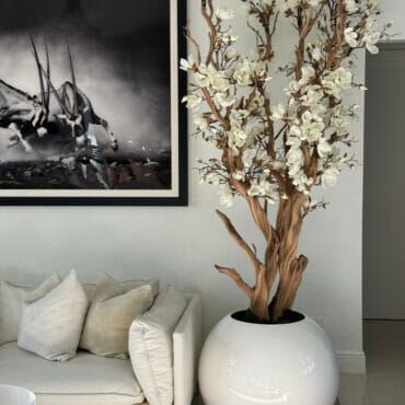 White Magnolia Tree in Glossy White Globe Pot, 76 cm The New Garden 