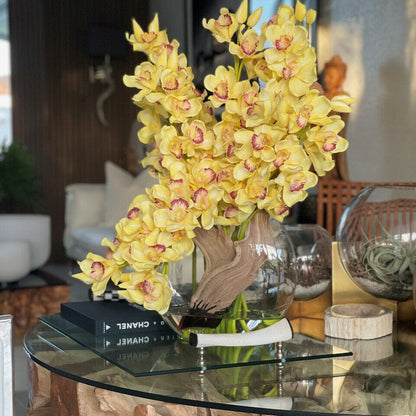 Yellow Cymbidium Orchids in Moon Vase The New Garden 