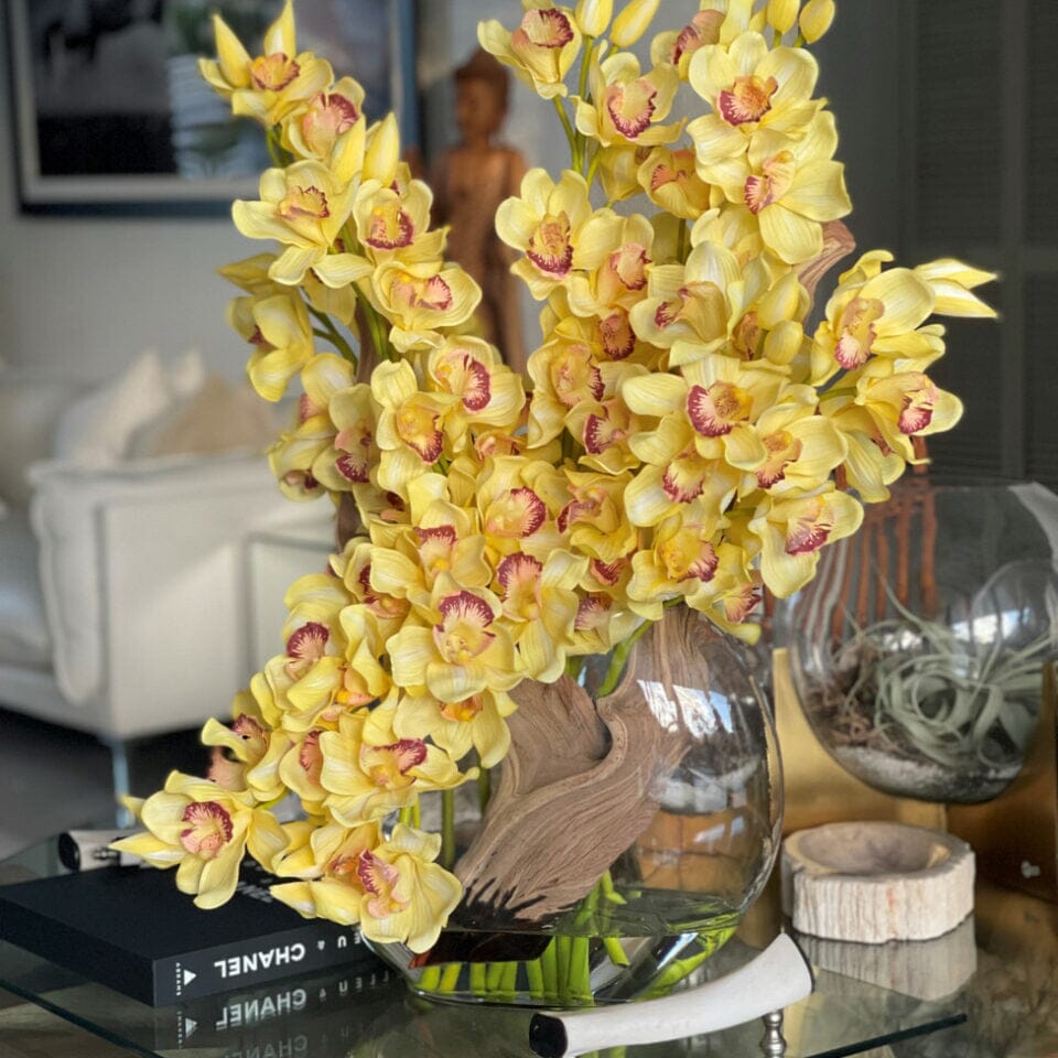 Yellow Cymbidium Orchids in Moon Vase The New Garden 